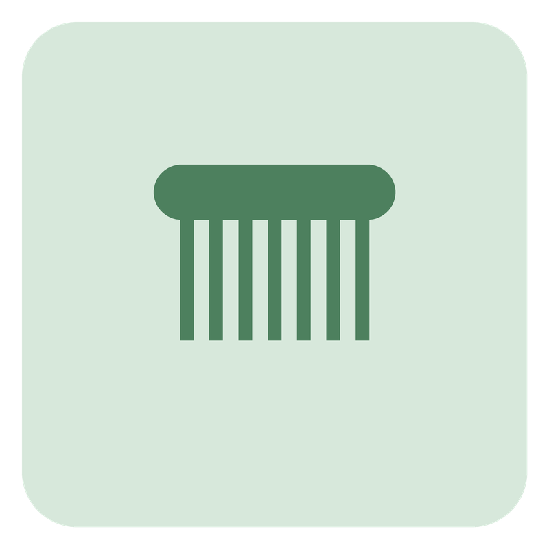 Pet Grooming Brush
